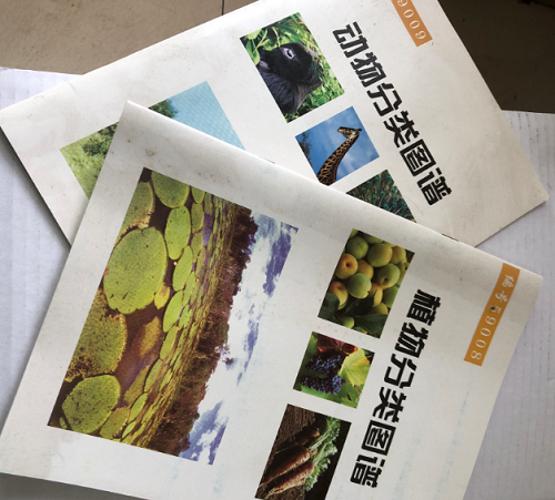 動物、植物分類圖譜
